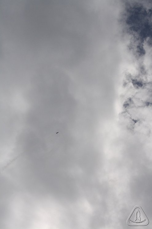 2013 Svojek Mirek Topinka